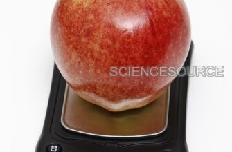 1553399-apple-weight-in-ounces