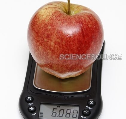 1553399-apple-weight-in-ounces