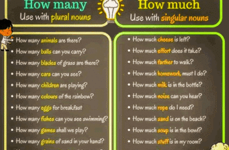DIFFERECE-MuchMany