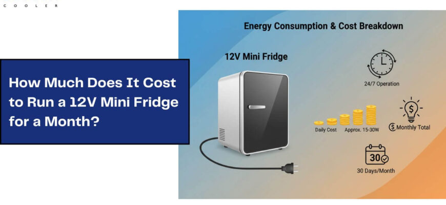 How-Much-Does-It-Cost-to-Run-a-12V-Mini-Fridge-for-a-Month_48f4f141-f4b7-414f-b765-e964aa466414